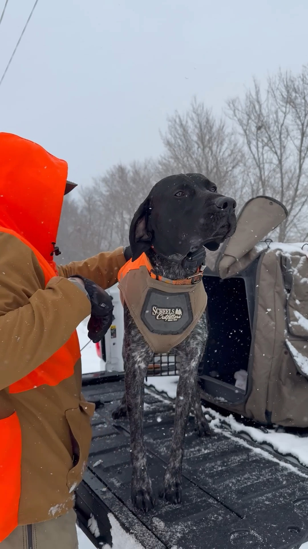 Archie’s hunting gear

Vest size M (65 lbs)

#LTKgrwm