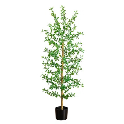 Artificial Shady Lady Black Olive Tree | Wayfair North America