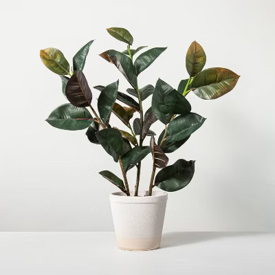 33" Faux Rubber Leaf Potted Plant - Hearth & Hand™ with Magnolia | Target