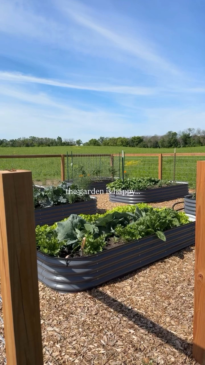 the garden is happy…..