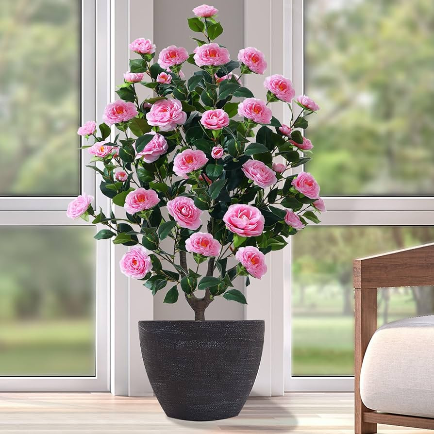 Pink | Amazon (US)
