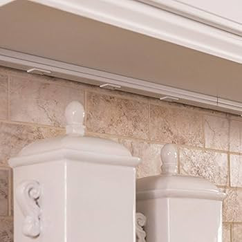 Legrand Wiremold WH20GB306TRGFI6 Plugmold 2000 Series 3 Foot Hardwired Power Strip with 5 Tamper ... | Amazon (US)