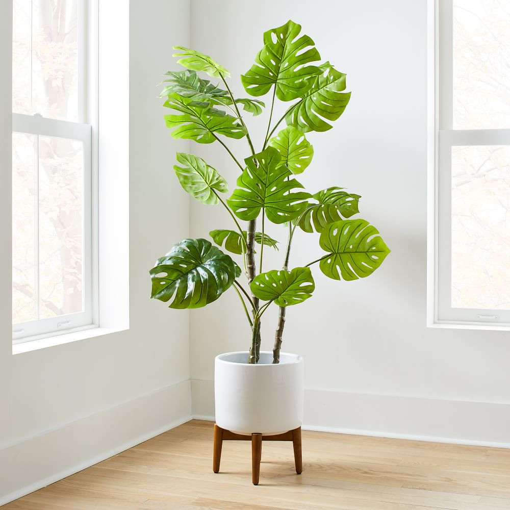 Faux 5ft Monstera Plant &amp; Wide Mid-Century Turned Wood Leg Planter Set | West Elm (US)