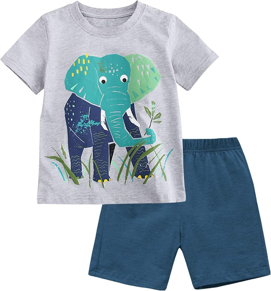 Fiream Boy's Cotton Clothing Sets T-Shirt&Shorts 2 Packs | Amazon (US)