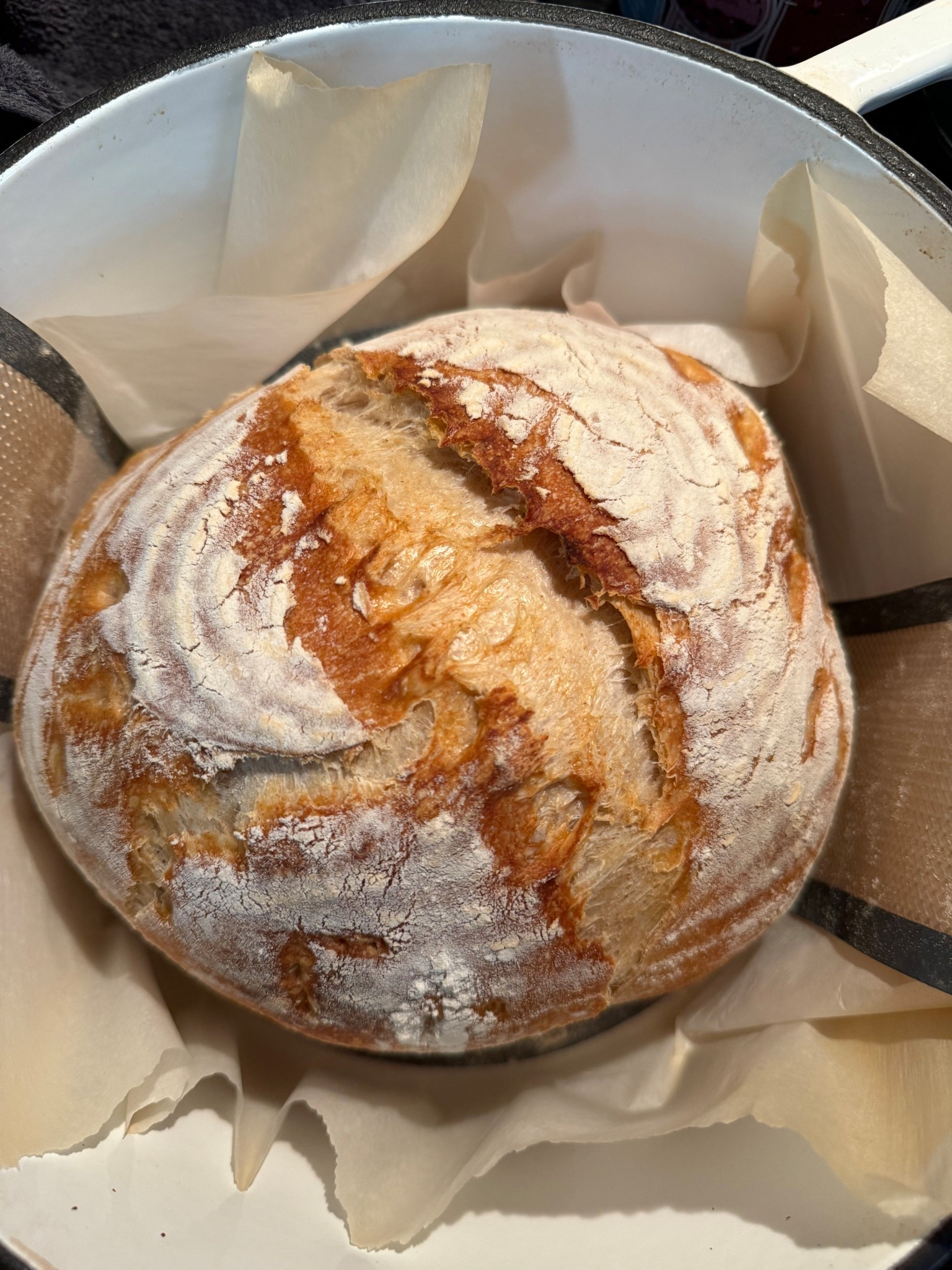 Sourdough Essentials 


#LTKfoodie #LTKHome #LTKmomlife