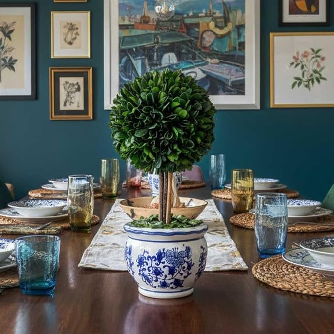 Galt International Naturally Preserved Boxwood Ball Topiary Tree in Round Hand Painted Blue & Whi... | Amazon (US)