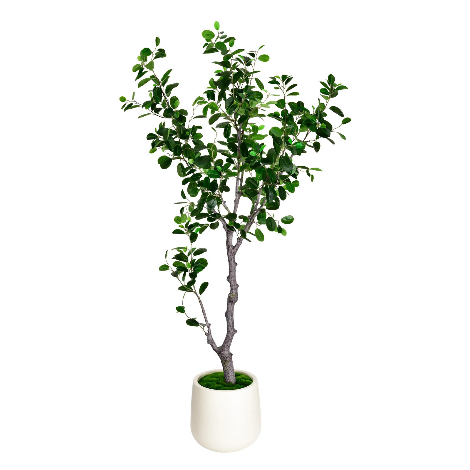 6ft Artificial East Ficus Tree - Faux Green Plant in White Decor Pot, Indoor Floor Decor, Low-Mai... | Wayfair North America