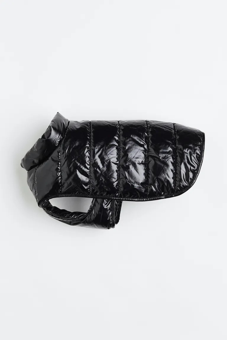 Quilted Dog Jacket | H&M (US + CA)