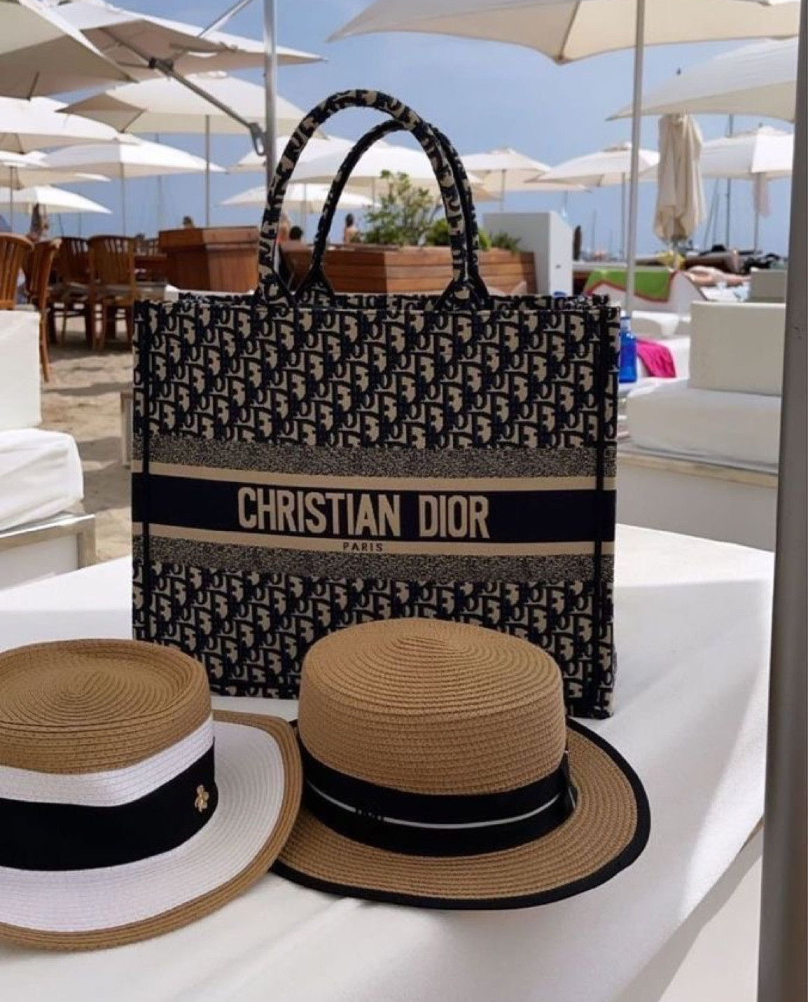 Classic Dior Book Tote