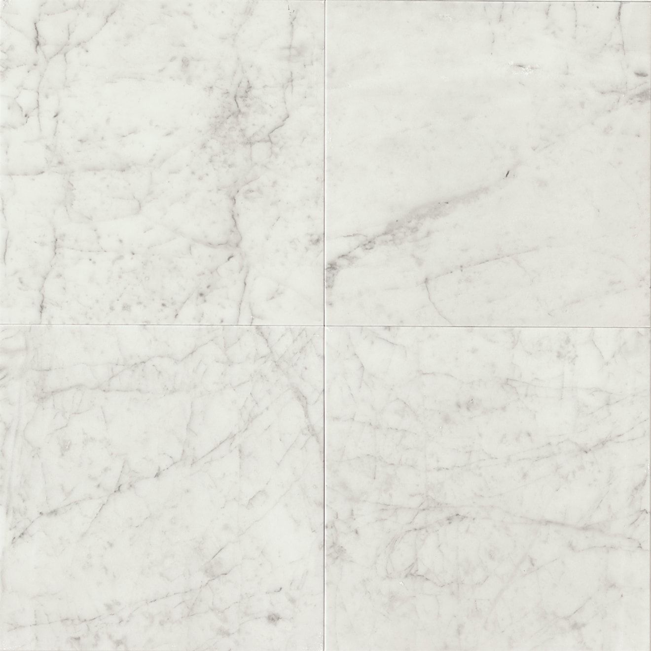White Carrara 24X24 Honed | Bedrosians Tile & Stone