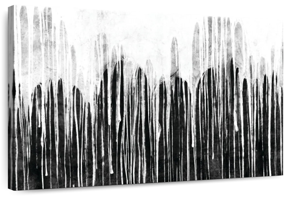 Elephant Stock Black And White Paint Drip | Wayfair | Wayfair North America