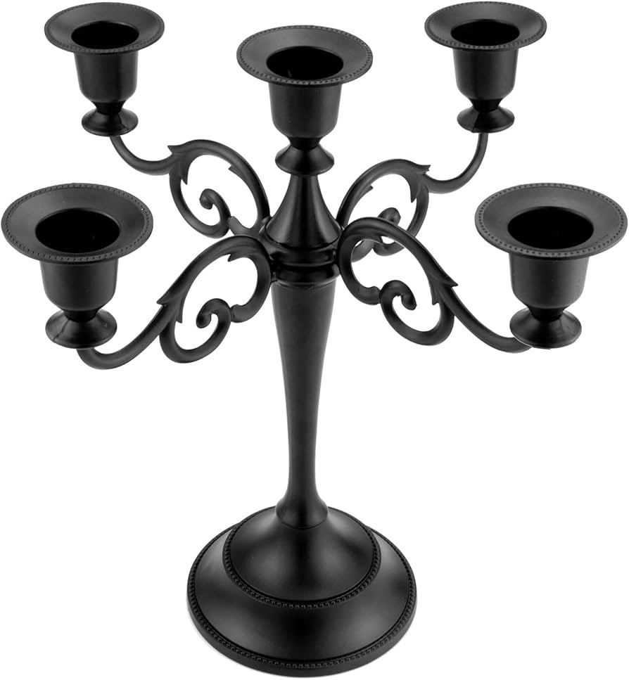 Visit the Viscacha Store | Amazon (US)