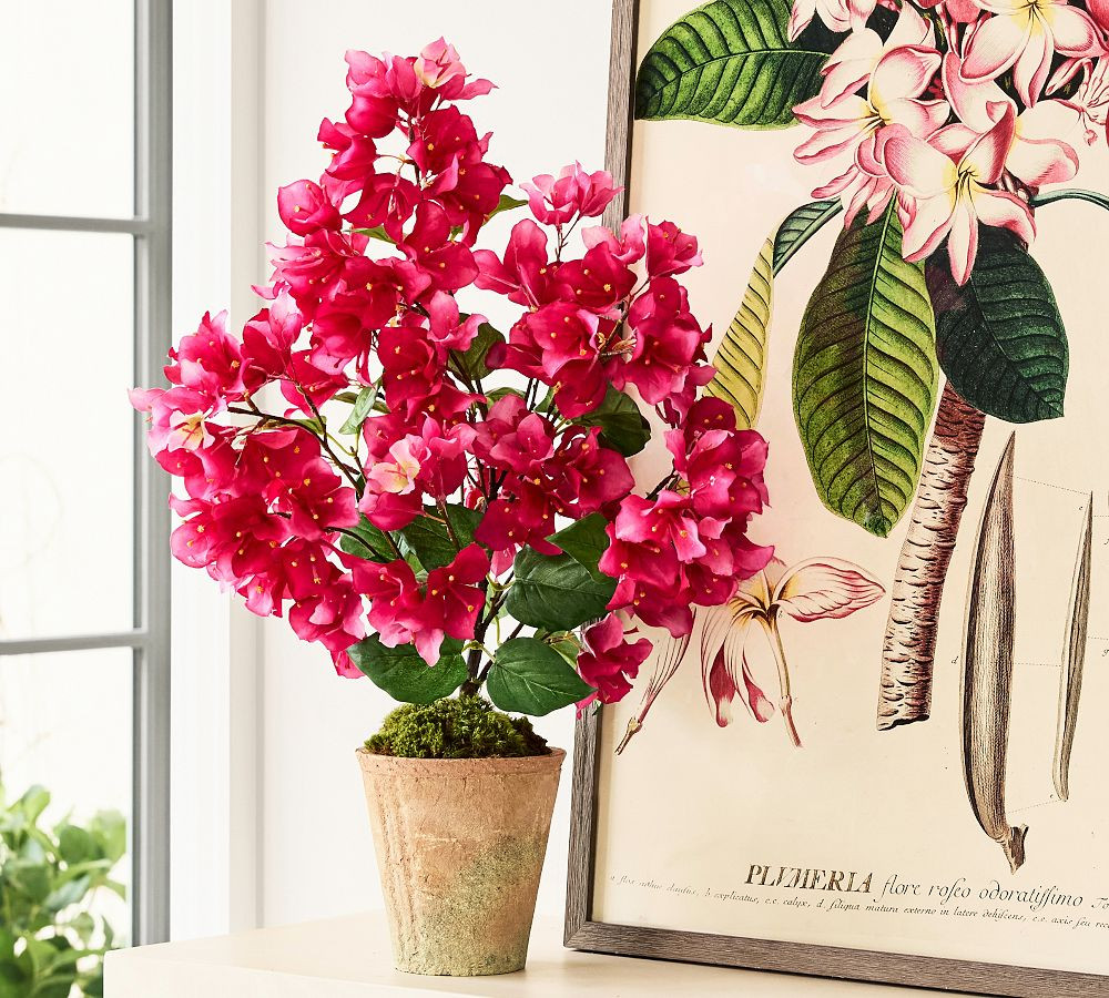 Faux Potted Bougainvillea | Pottery Barn (US)
