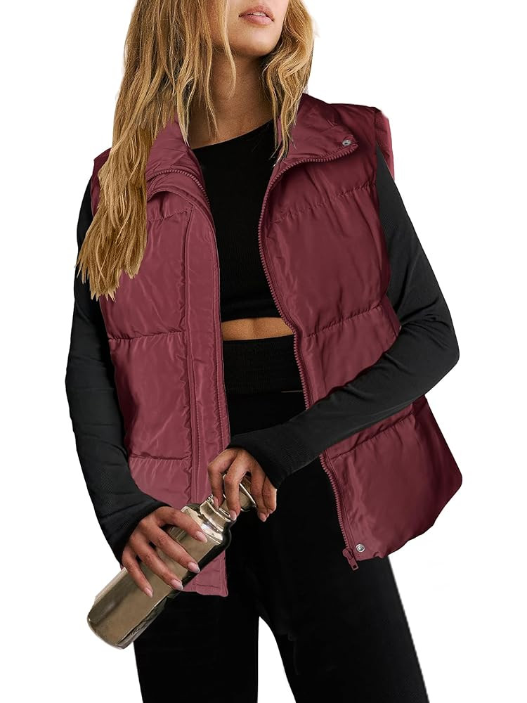 Zeagoo Women Puffer Vest Lightweight Stand Collar Sleeveless Winter Warm Zip Up Padded Outerwear ... | Amazon (US)