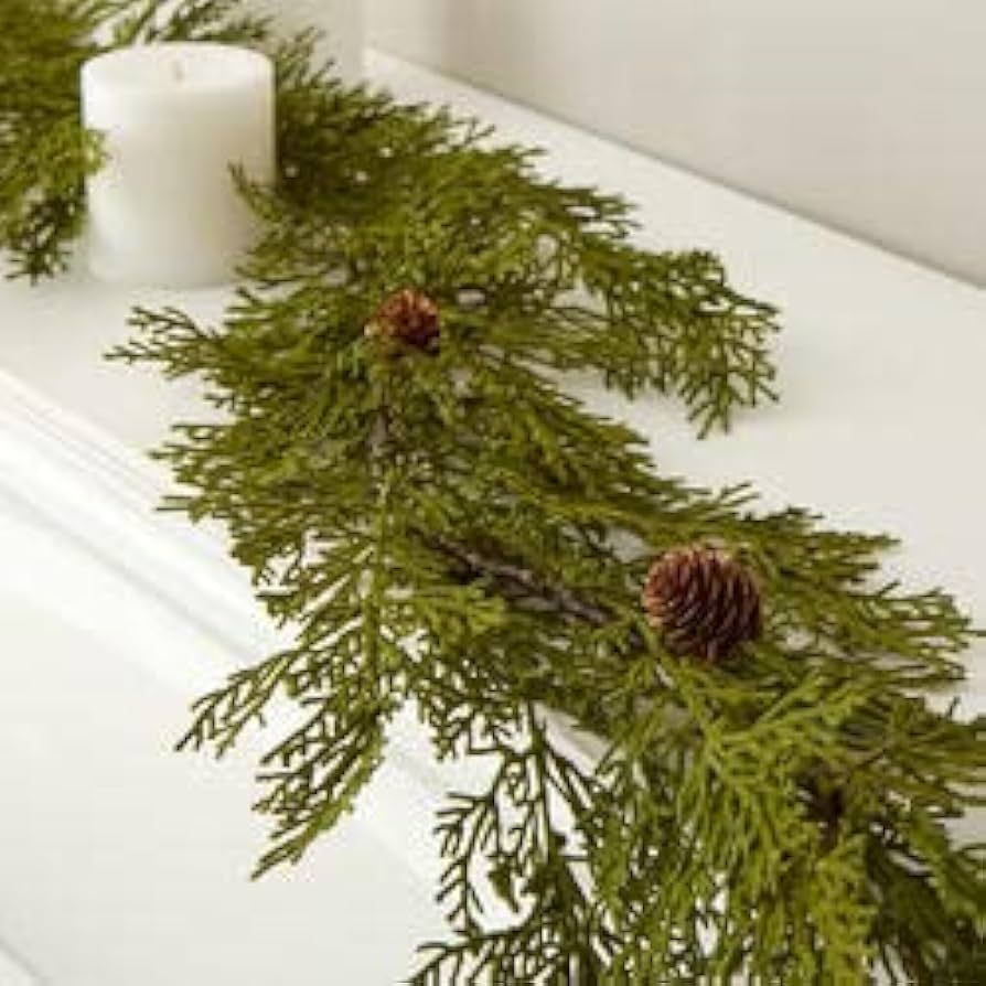 Factory Direct Craft Flocked Cedar Garland | Realistic Look Cedar Pine Green Garland Christmas Ho... | Amazon (US)