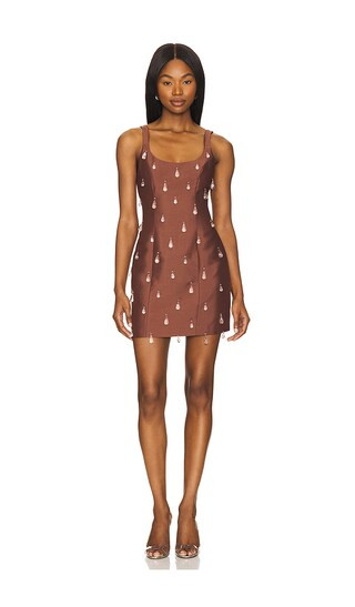 Luvia Beaded Mini Dress in Chocolate | Revolve Clothing (Global)