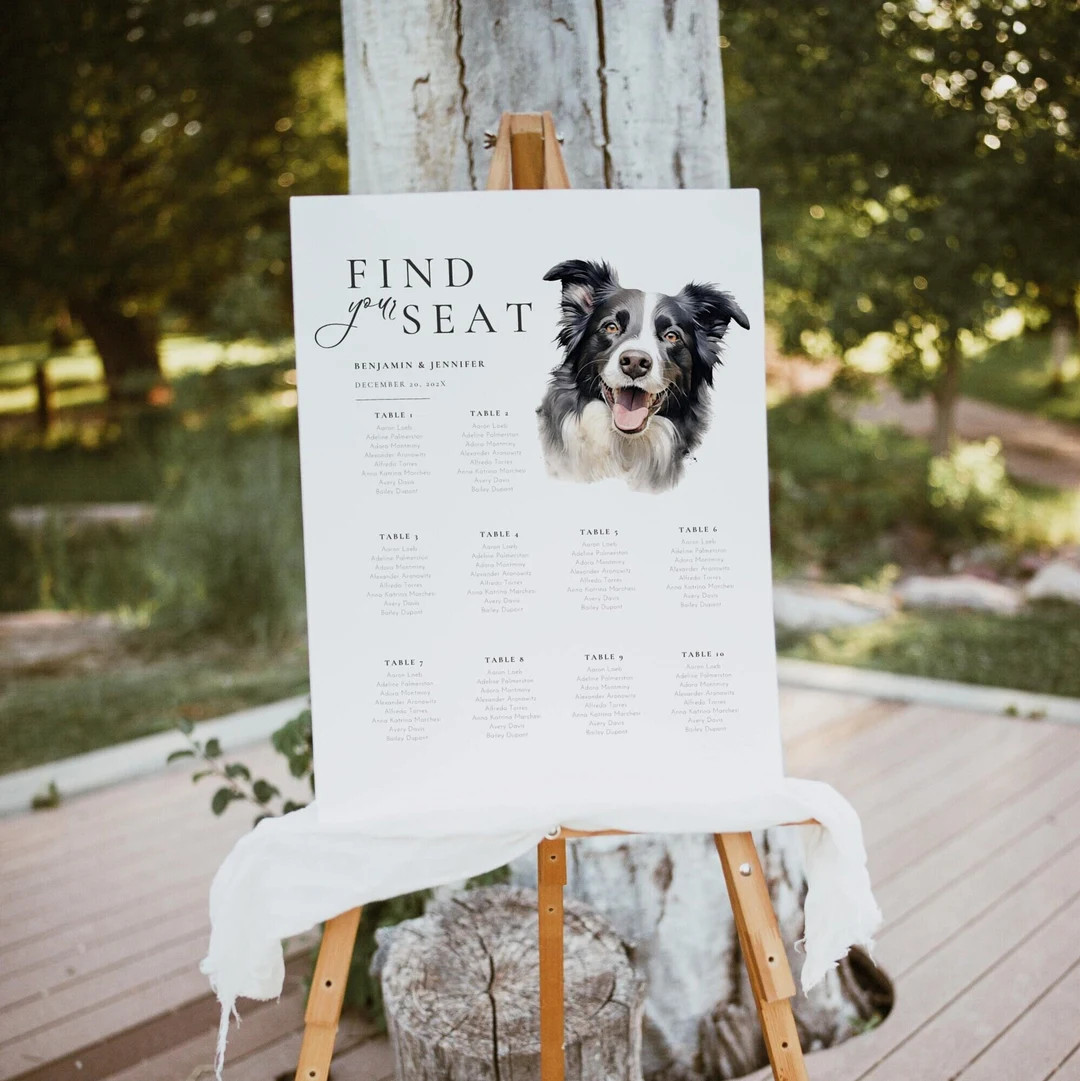 10 Table Seating Chart Custom Pet Illustration for Wedding Sign, Get Married Dog of Honor Seating... | Etsy (US)
