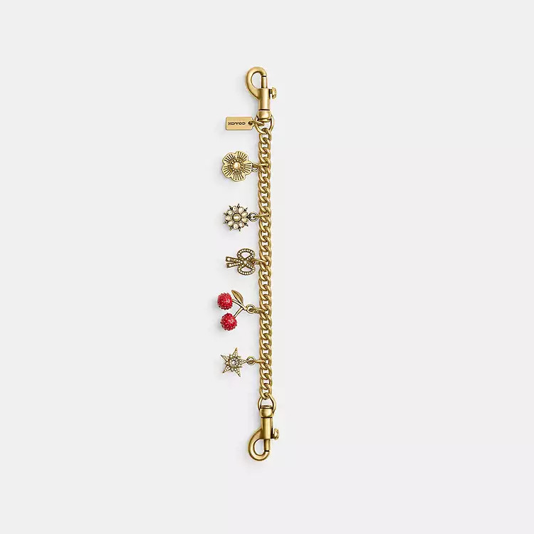 Crystal Motif Chain Bag Charm | Coach (US)
