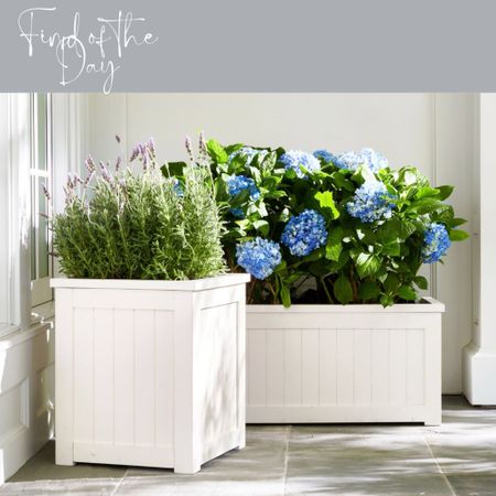 Box planters are the ideal choice for those with smaller outdoor spaces. We love the simplicity of these planters as they look effortlessly chic!

#LTKfamily #LTKSeasonal #LTKhome