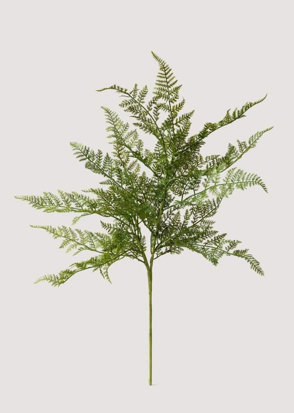 Faux Fern Leaf Branch - 22.5" | Afloral