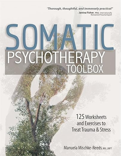 Somatic Psychotherapy Toolbox: 125 Worksheets and Exercises to Treat Trauma & Stress | Amazon (US)