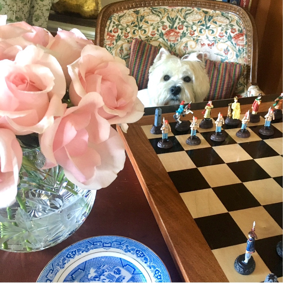 You should have at least one crystal rose bowl in your vase collection. Classic and elegant !