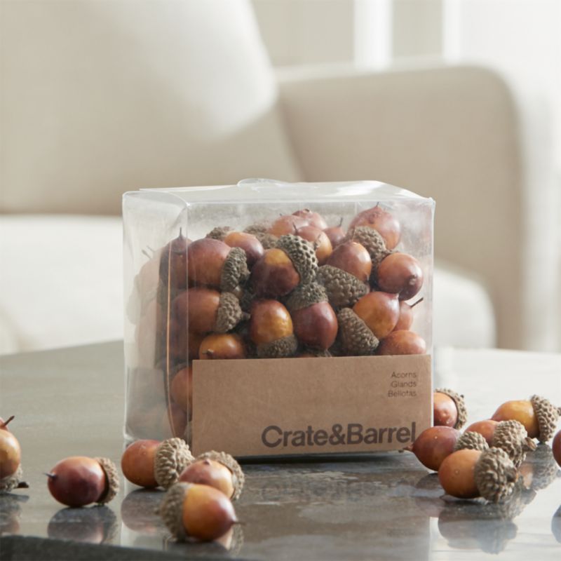 Oak Tree Acorns Bowl & Vase Filler + Reviews | Crate and Barrel | Crate & Barrel
