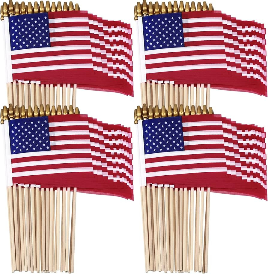 Tegeme 100 Pcs Small American Flags on Stick 5 x 8 Inch Mini Handheld 4th of July Flags for 250th... | Amazon (US)