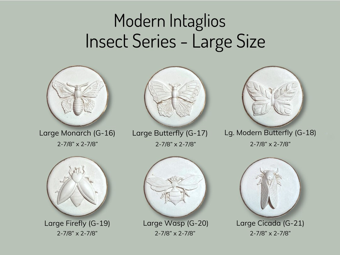 Gorgeous Insect Intaglios Unique Gift DIY Project - Etsy | Etsy (US)