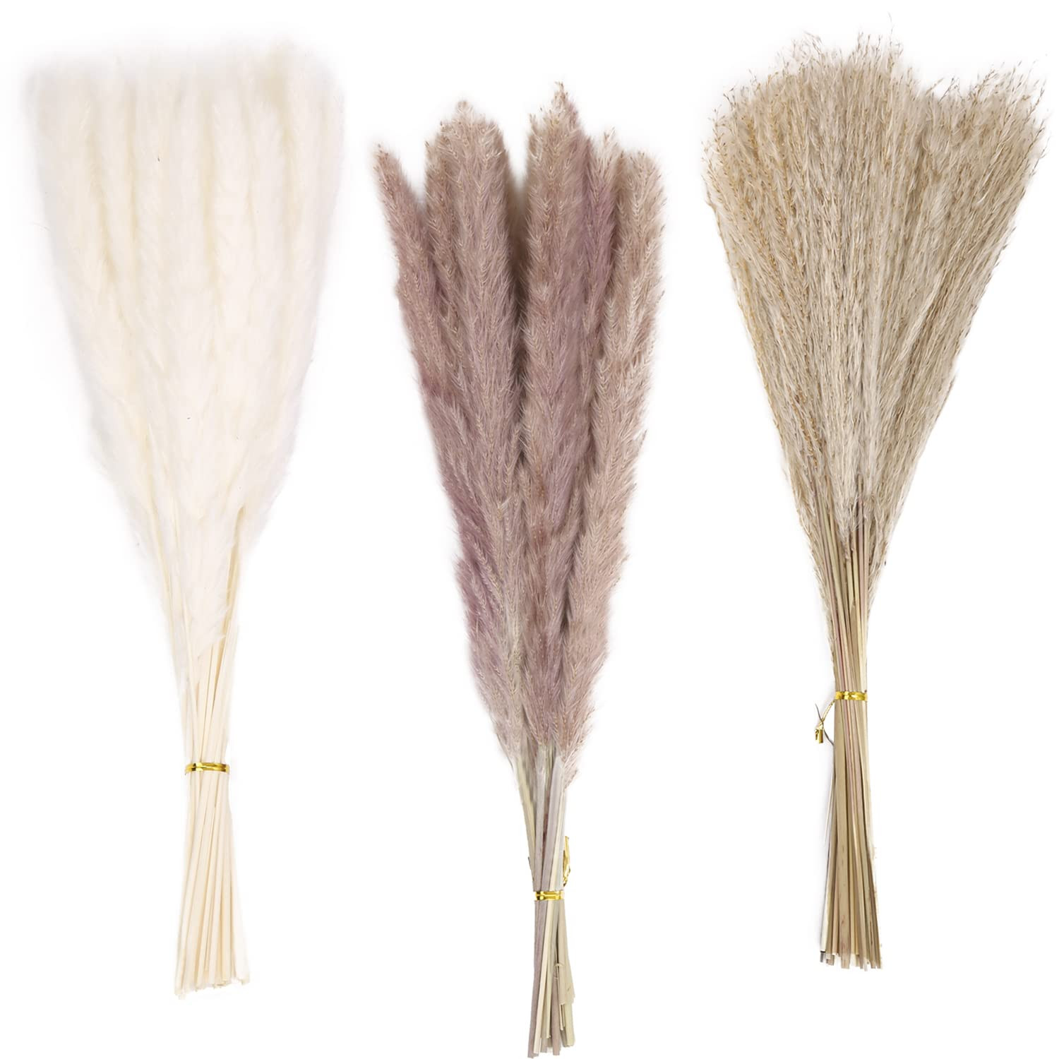 Pampas Grass 60 Pcs | 15 Pcs White Pampas & 15 Pcs Brown Pampas & 30 Pcs Reed Grass, Natural Dried P | Amazon (US)