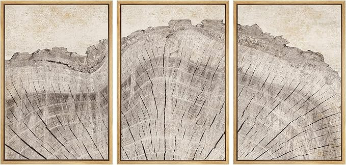 SIGNWIN Framed Canvas Print Wall Art Set Retro Close Up Oak Wood Tree Rings Nature Wilderness Ill... | Amazon (US)