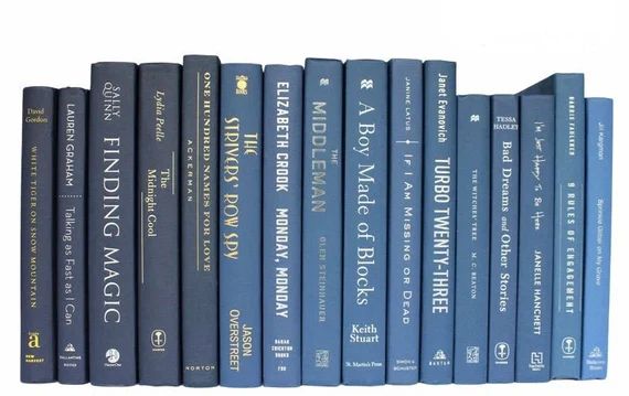 Blue Books  Navy Blue Books  Decorative Books  Staging | Etsy | Etsy (US)