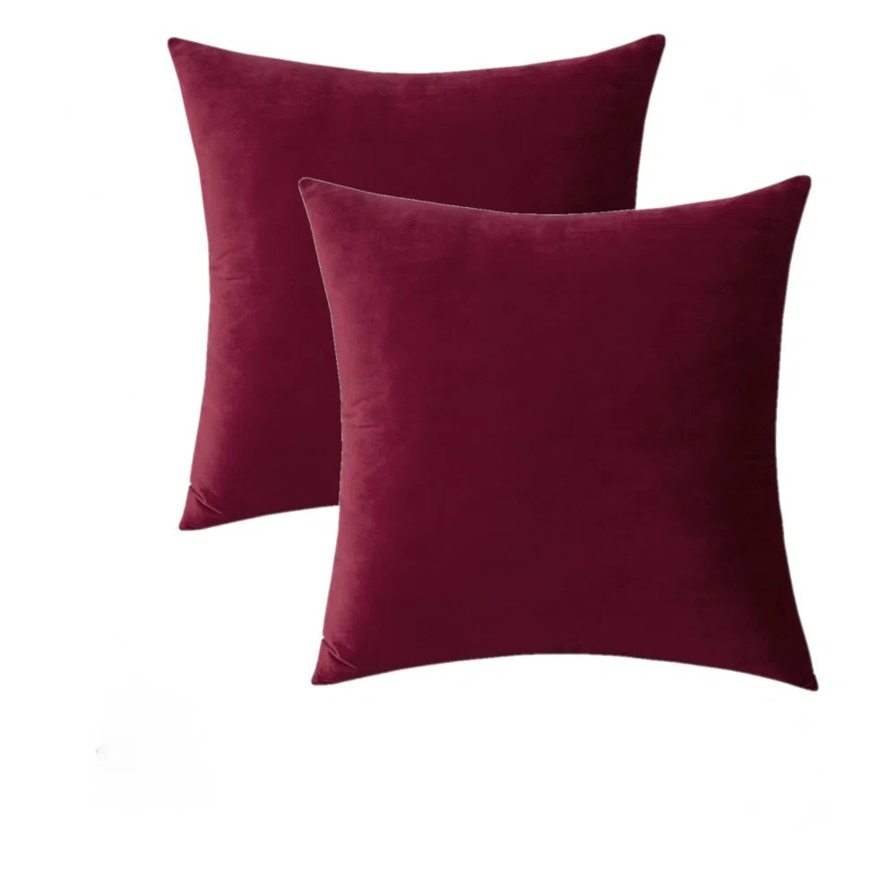 Christella Square Velvet Pillow Cover (Set of 2) | Wayfair Professional