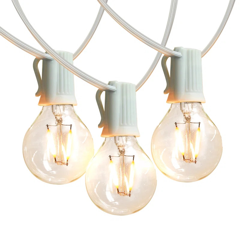 Ambience Pro 26 ft. Outdoor Plug-In LED String Lights with 12 Soft White G40 Bulbs, Weatherproof,... | Wayfair North America