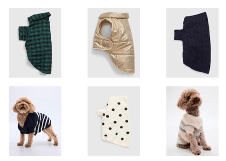 Outfits for dogs at GAP. Dog sweaters. Dog hoodies. Holiday pjs for dogs. 

#LTKHoliday #LTKfindsunder50
