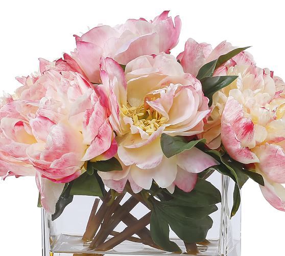 Faux Peonies in Square Glass Vase | Pottery Barn (US)