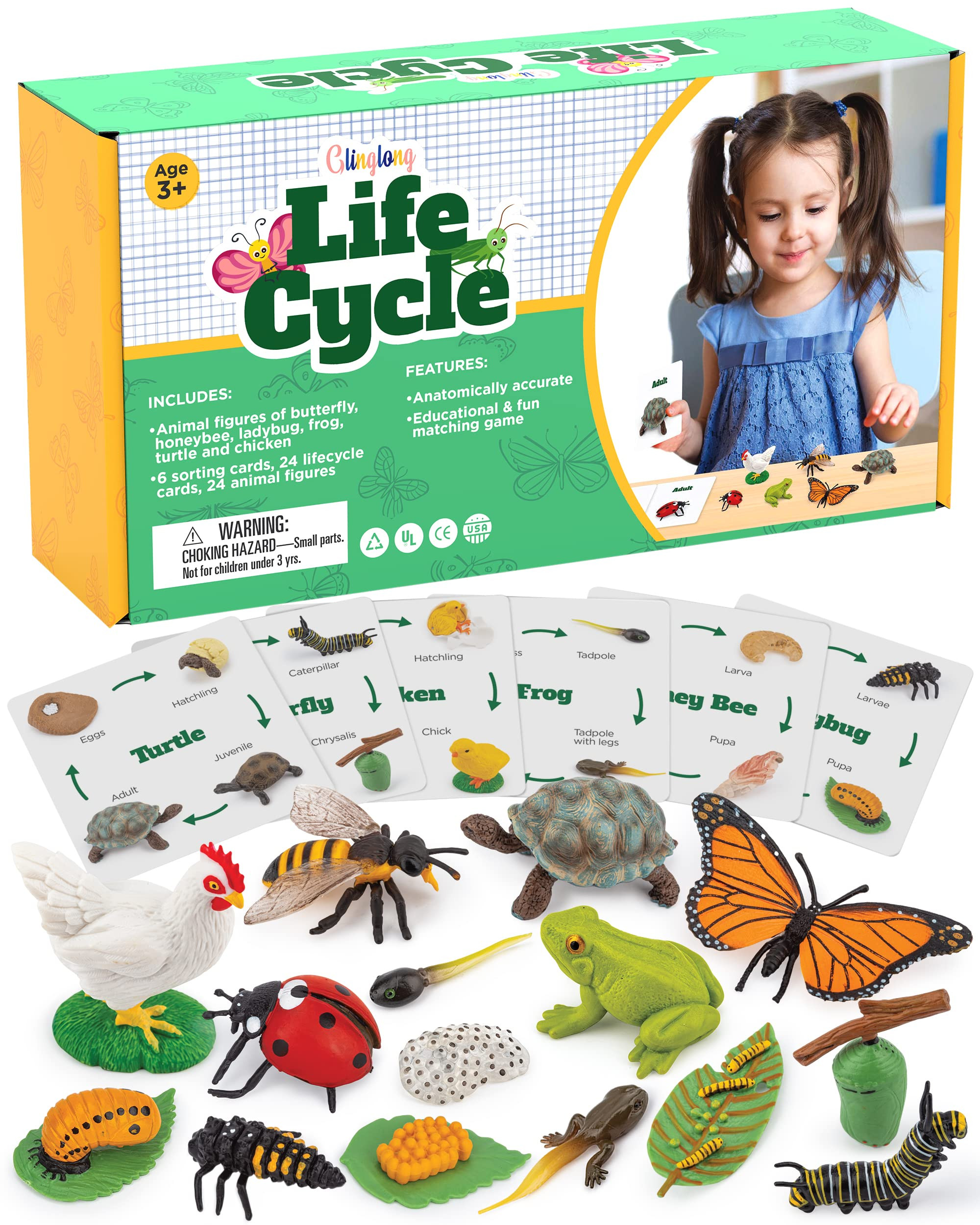 Life Cycle Animal Kit - Montessori Science Toy with 24-Piece Matching Game, Includes Butterfly, F... | Amazon (US)