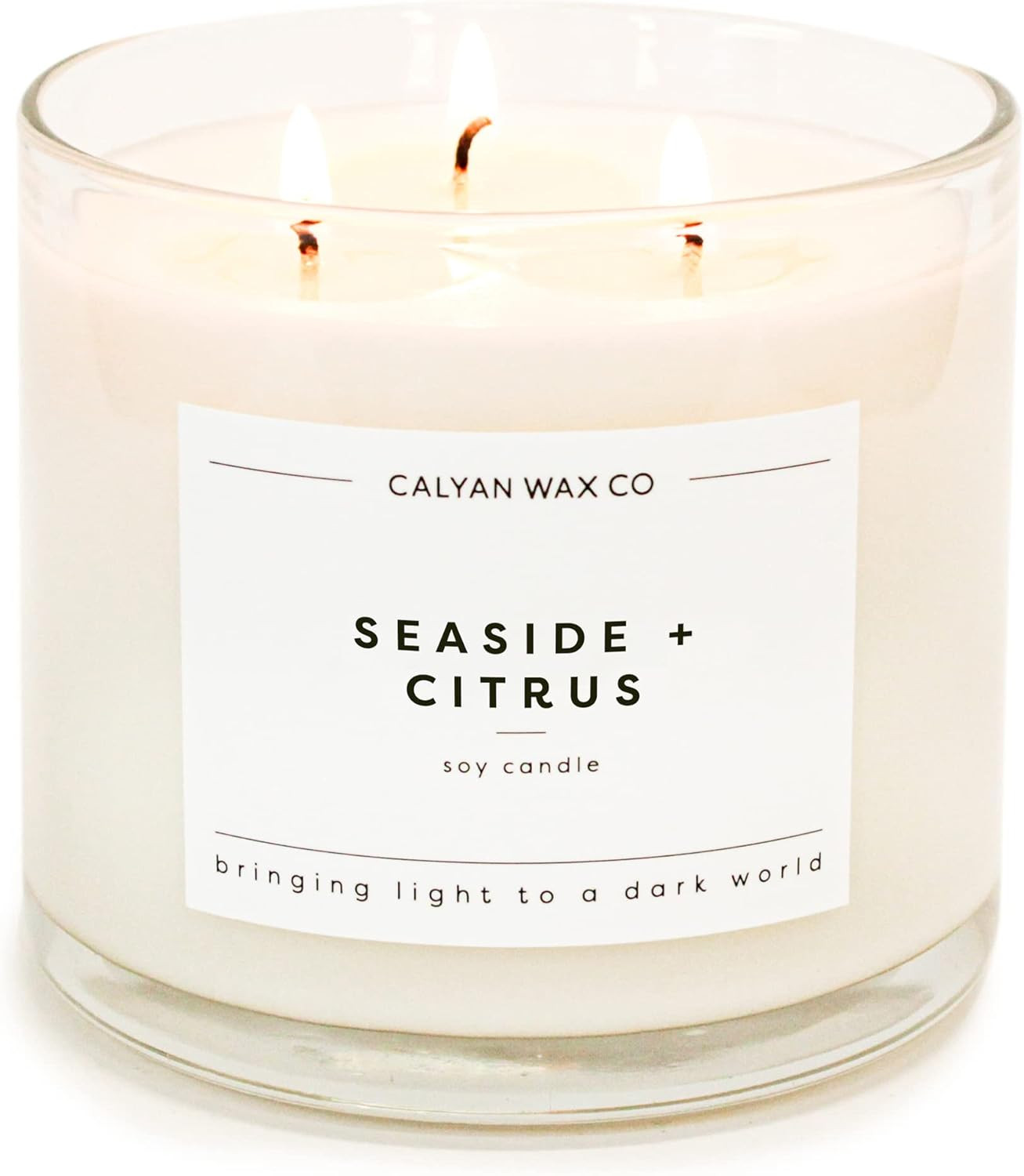 Calyan Wax Scented Candle, Seaside & Citrus, 3 Wick Candle for The Home Scented with Lemon & Ceda... | Amazon (US)