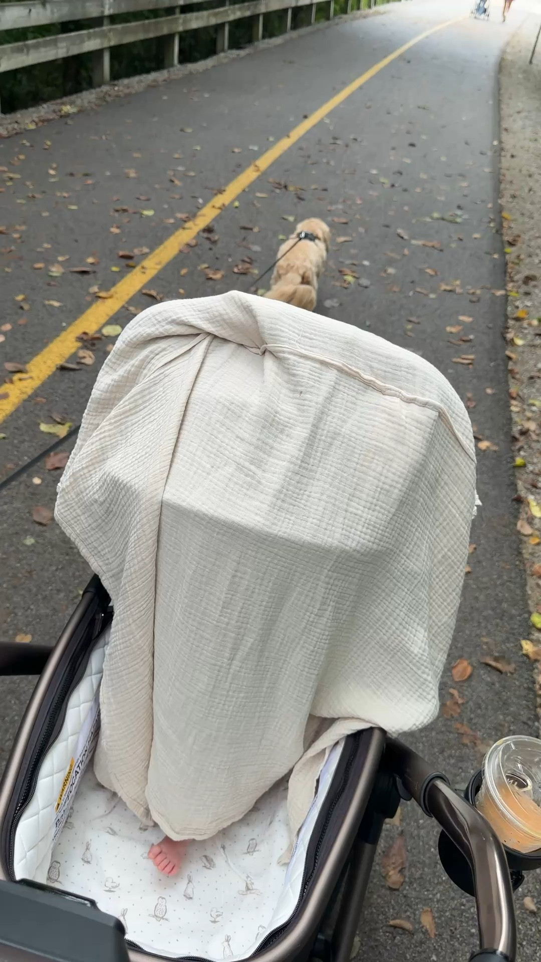 Stroller essentials! #kathleenpost

Newborn phase, postpartum stage

#LTKmomlife #LTKBaby