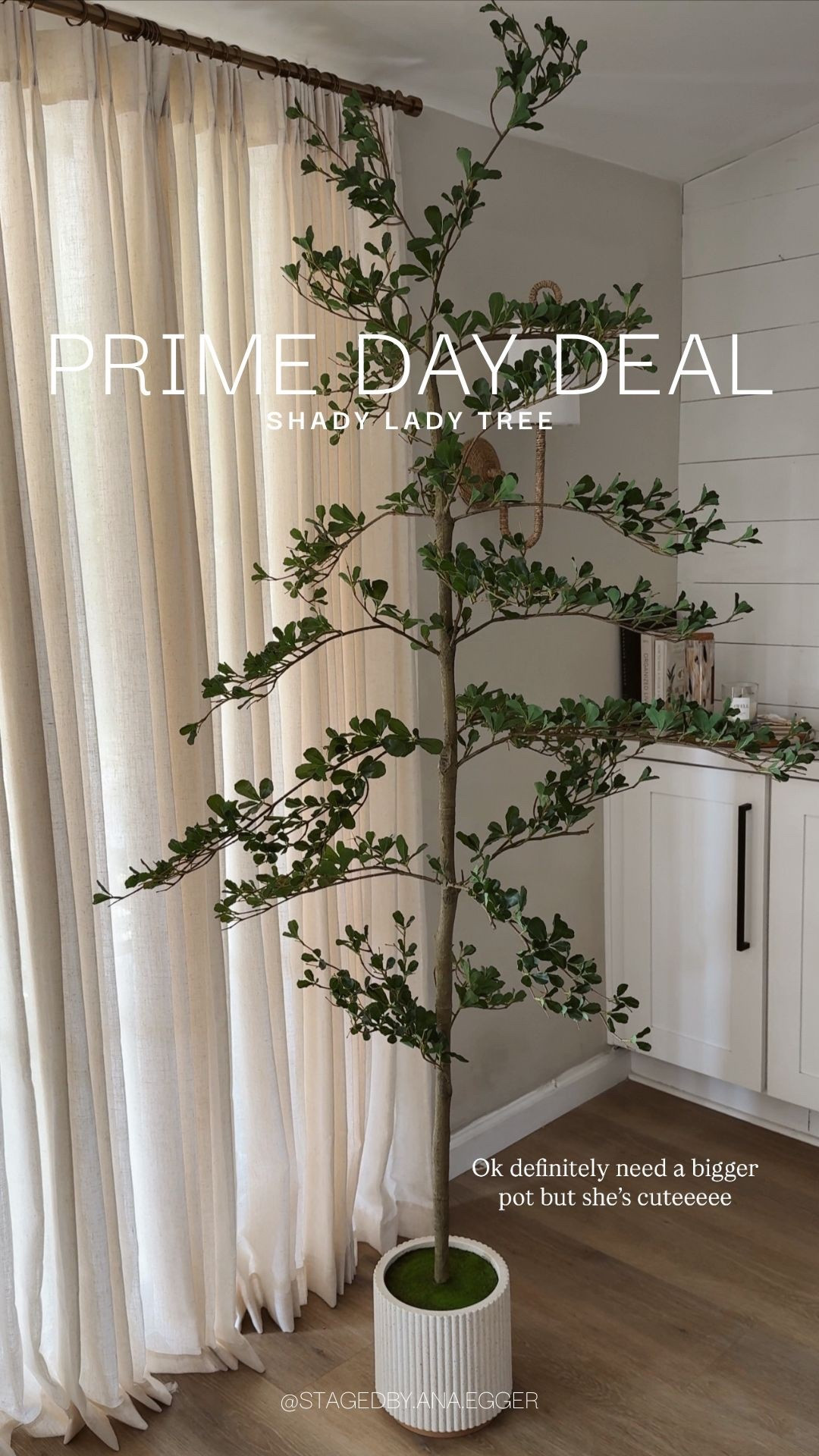 If you’ve been considering a faux tree for your space, this is the one to get! It’s on sale for the last day of Amazon Prime Day today!

#LTKSaleAlert #LTKHome #LTKStyleTip