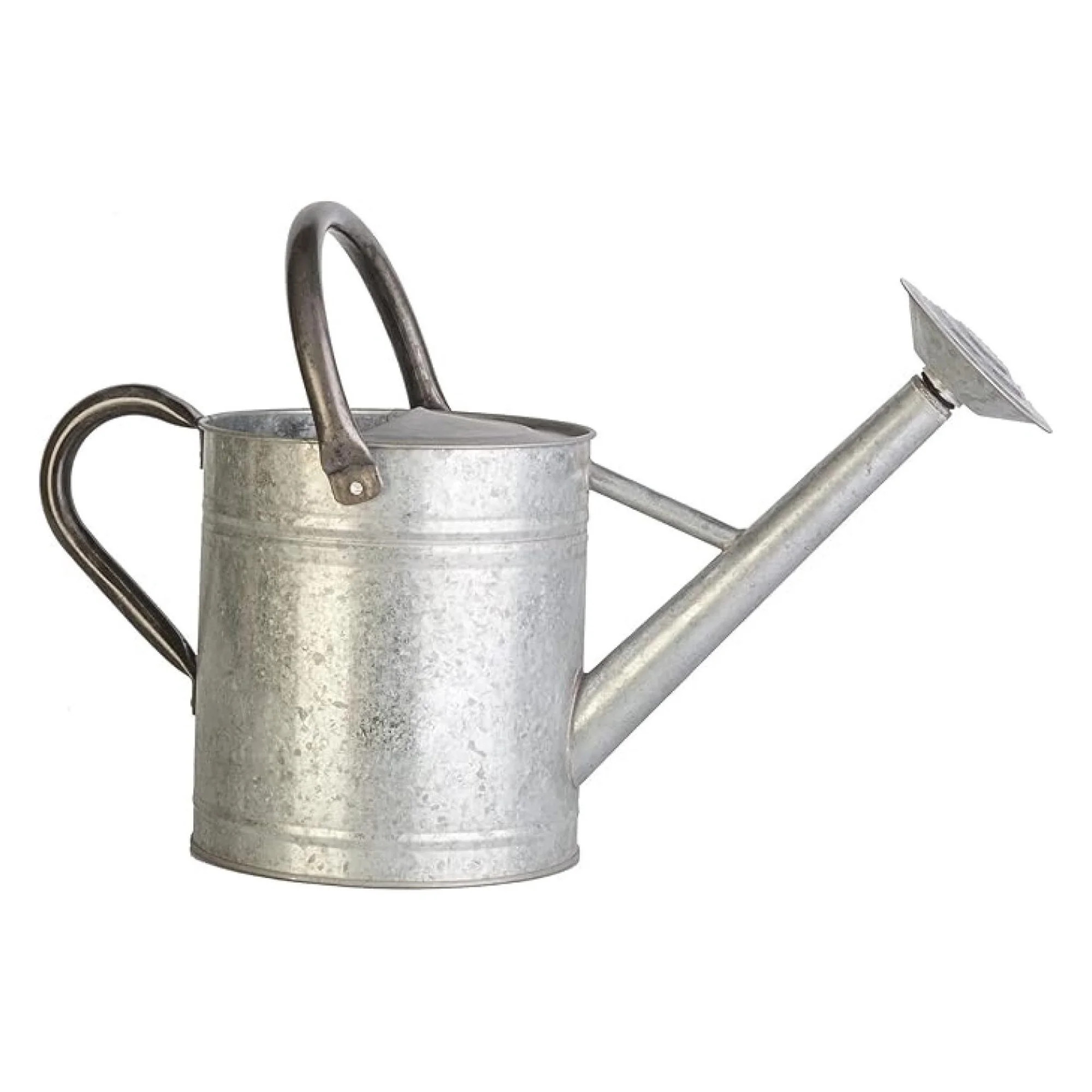 Vintage Galvanized Plant Container - 1 Gallon Aged Metal Watering Can - Garden Decor & Accessorie... | Walmart (US)