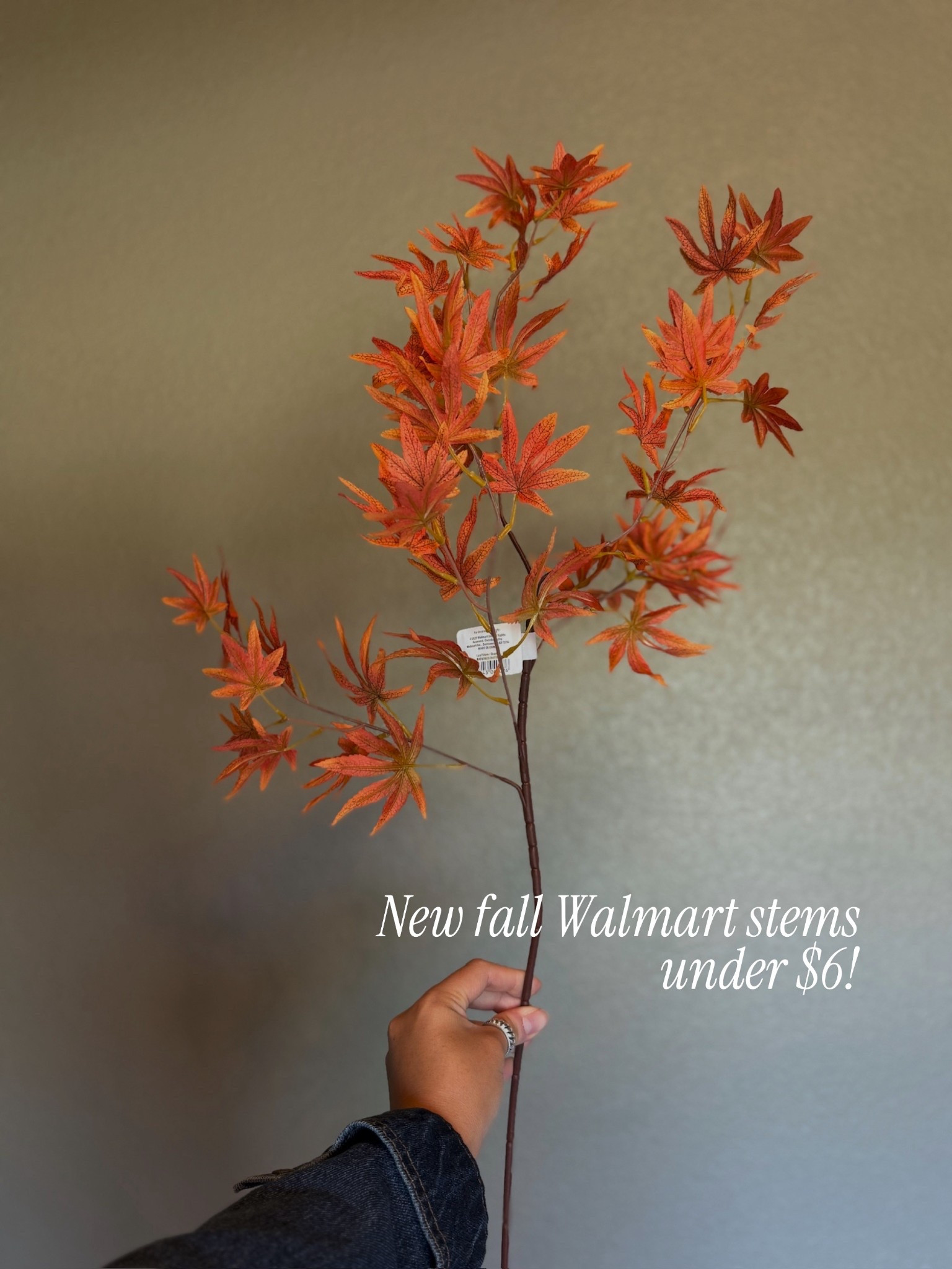 New fall Walmart stems only $6!!! 

walmart fall, seasonal fall, fall home finds, affordable fall home, walmart home, walmart stems 

#LTKHome #LTKSeasonal #LTKStyleTip