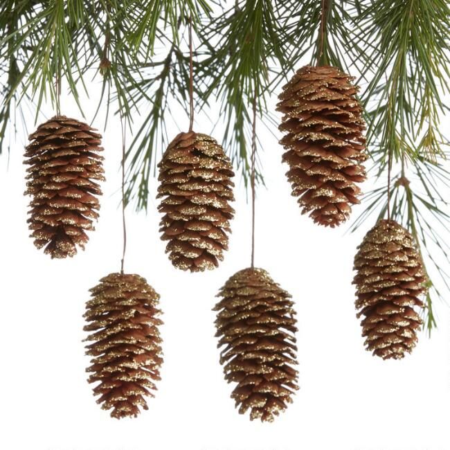 Glitter Pinecone Boxed Ornaments 12 Pack | World Market