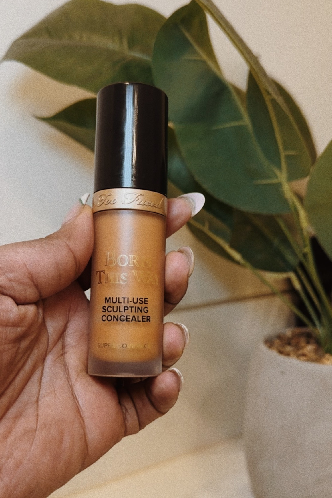 My fav concealer ever!! Color : Butterscotch #makeup #toofaced #sephora

#LTKstyletip #LTKfindsunder50 #LTKbeauty