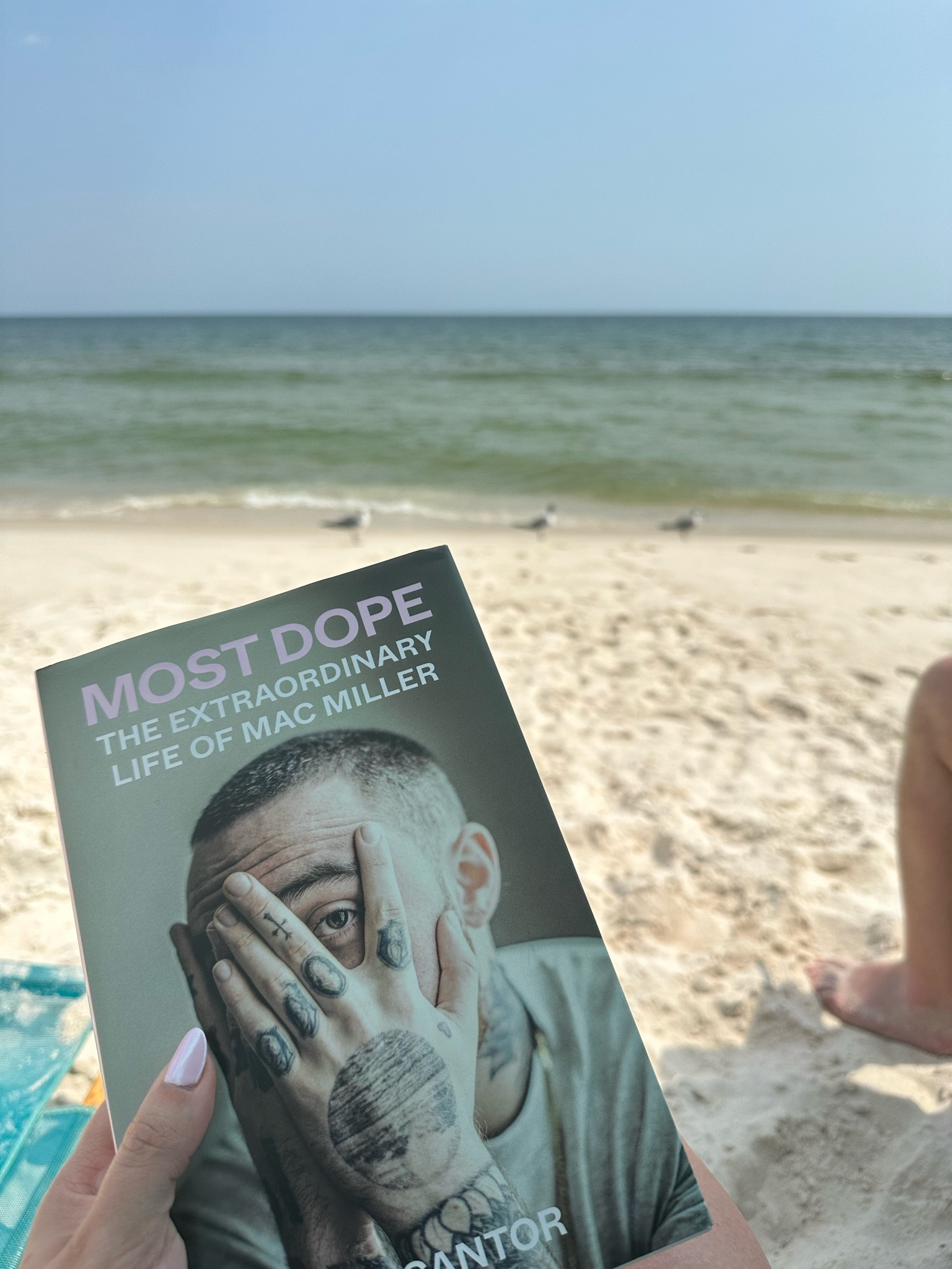 I love this book 🤍 #ltkbook #bookrec

#LTKunder50 #LTKhome #LTKFind