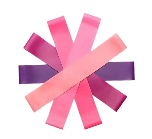 5-Piece Pilates Resistance Bands Set – Multi-Resistance Level Workout Bands for Pilates, Strength Training & Flexibility Stretching (Pink & Purple) | Amazon (US)