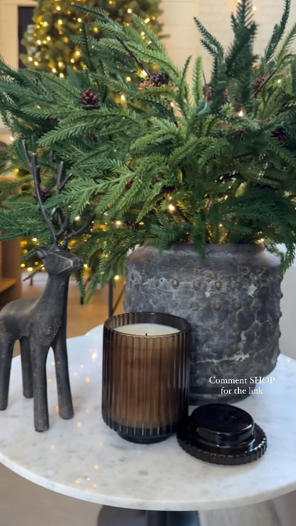 Christmas Holiday home decor

Amazon home

#LTKHoliday #LTKstyletip #LTKhome