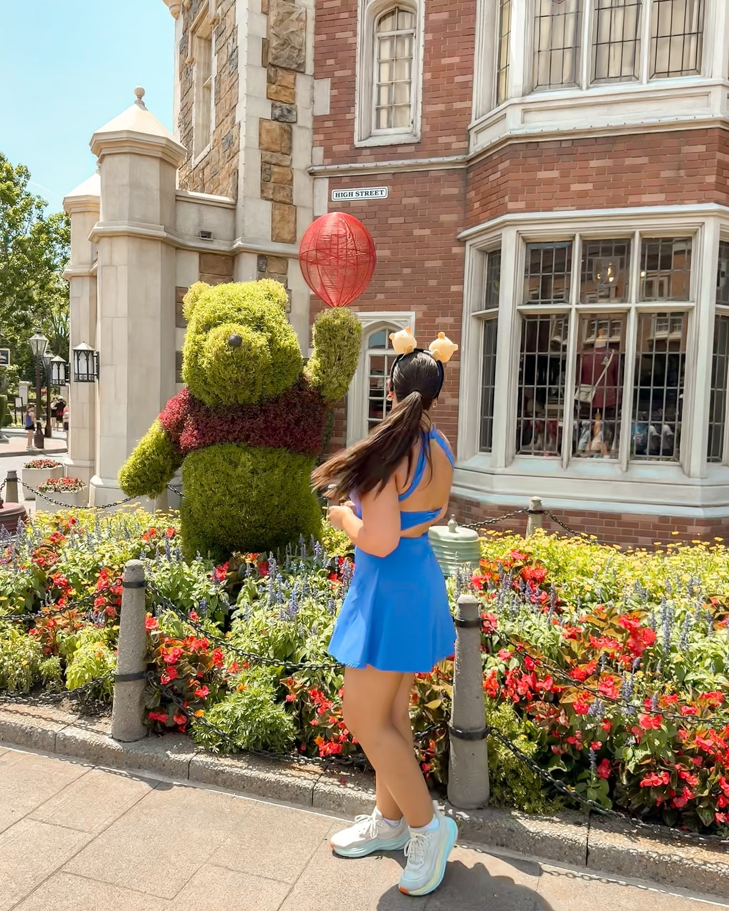 final days of flower and garden ‘25 🪴🌼🦋