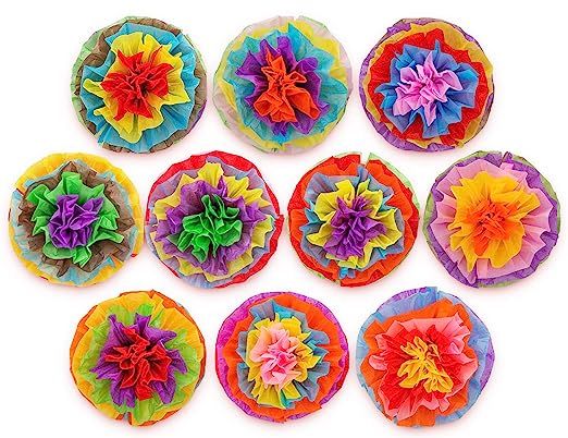 Cinco De Mayo Decorations Fiesta Tissue Pom Paper Flowers - Mexican Party Supplies 16" (Set of 10) | Amazon (US)
