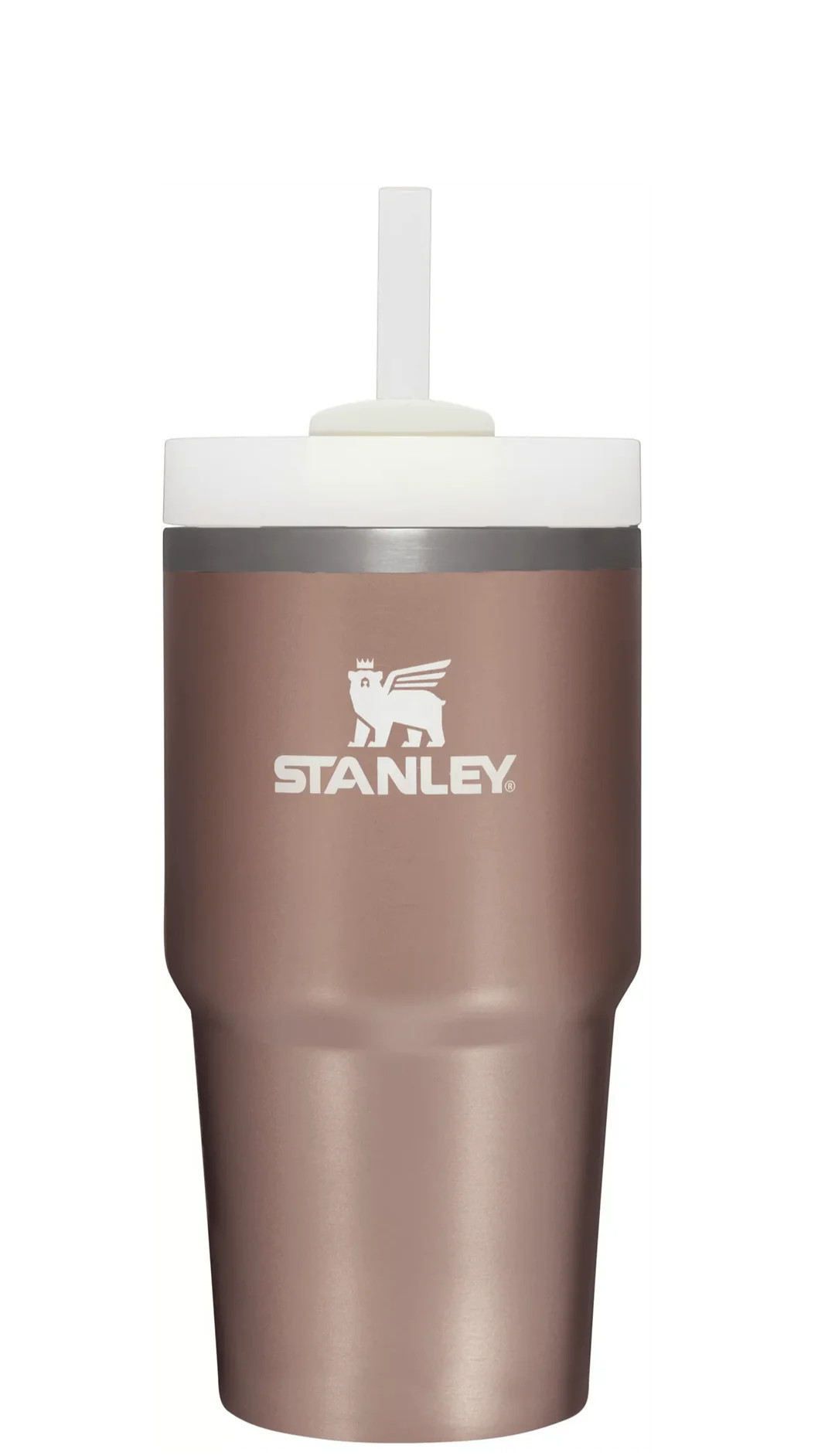 The Quencher H2.0 FlowState™ Tumbler | 20 OZ | Stanley 1913 (US)